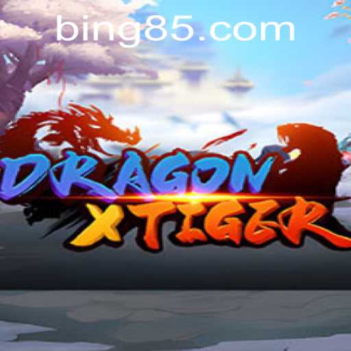 Unleashing the Adventure: Exploring DragonXTiger with BINGO8